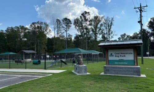 Dog Park in Coal Mountain Park in Cumming, Georgia