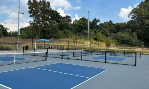 Best spots for pickleball in the Alpharetta area.