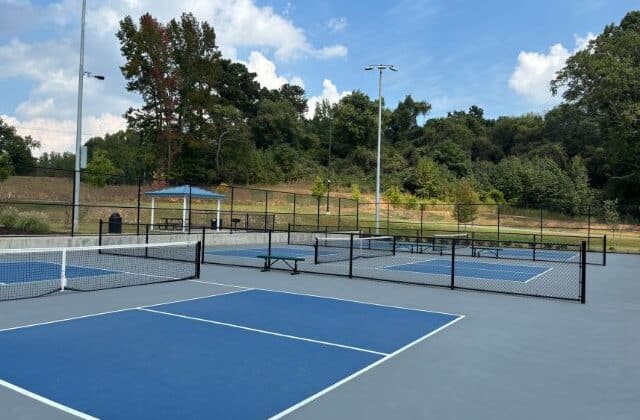 Best spots for pickleball in the Alpharetta area.