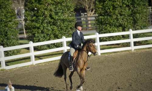 Guest riding horse in Wills Park Equestrian Center