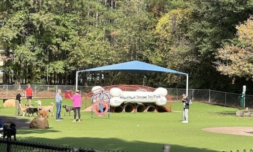 Newtown Dream Dog Park in Johns Creek