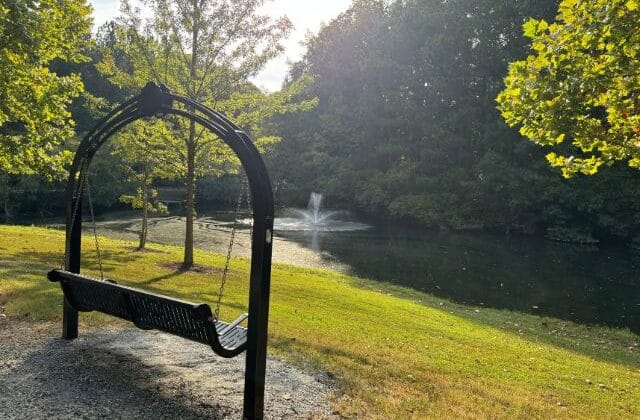 Pond in North Park Alpharetta