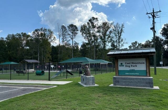 Dog Park in Coal Mountain Park in Cumming, Georgia