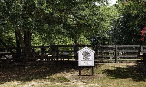 Waggy World Paw Park in Wills Park of Alpharetta.