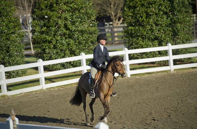 Guest riding horse in Wills Park Equestrian Center