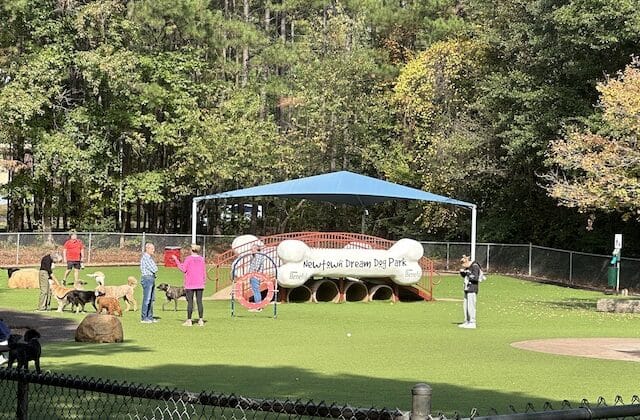 Newtown Dream Dog Park in Johns Creek