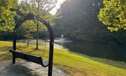 Pond in North Park Alpharetta